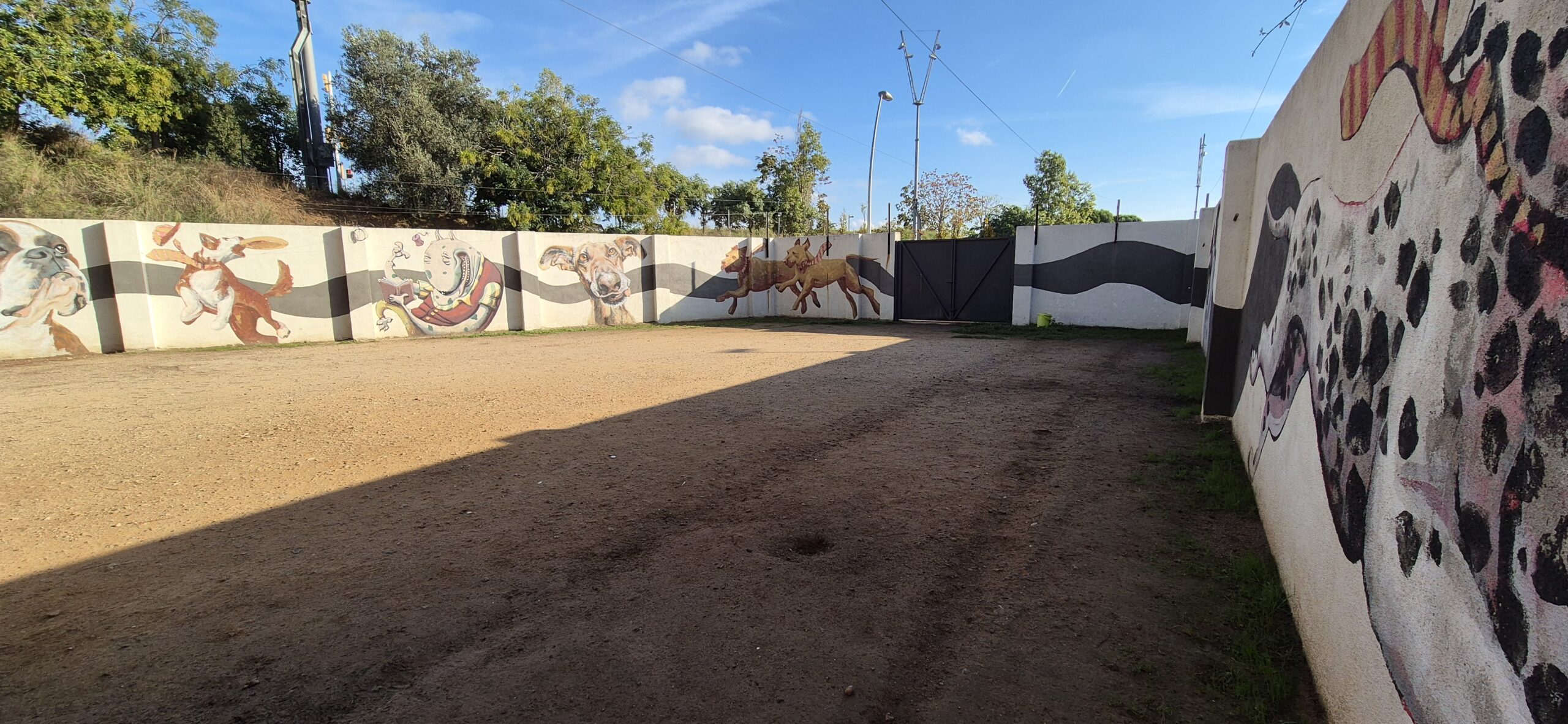 Pati d'entrenament de cadells