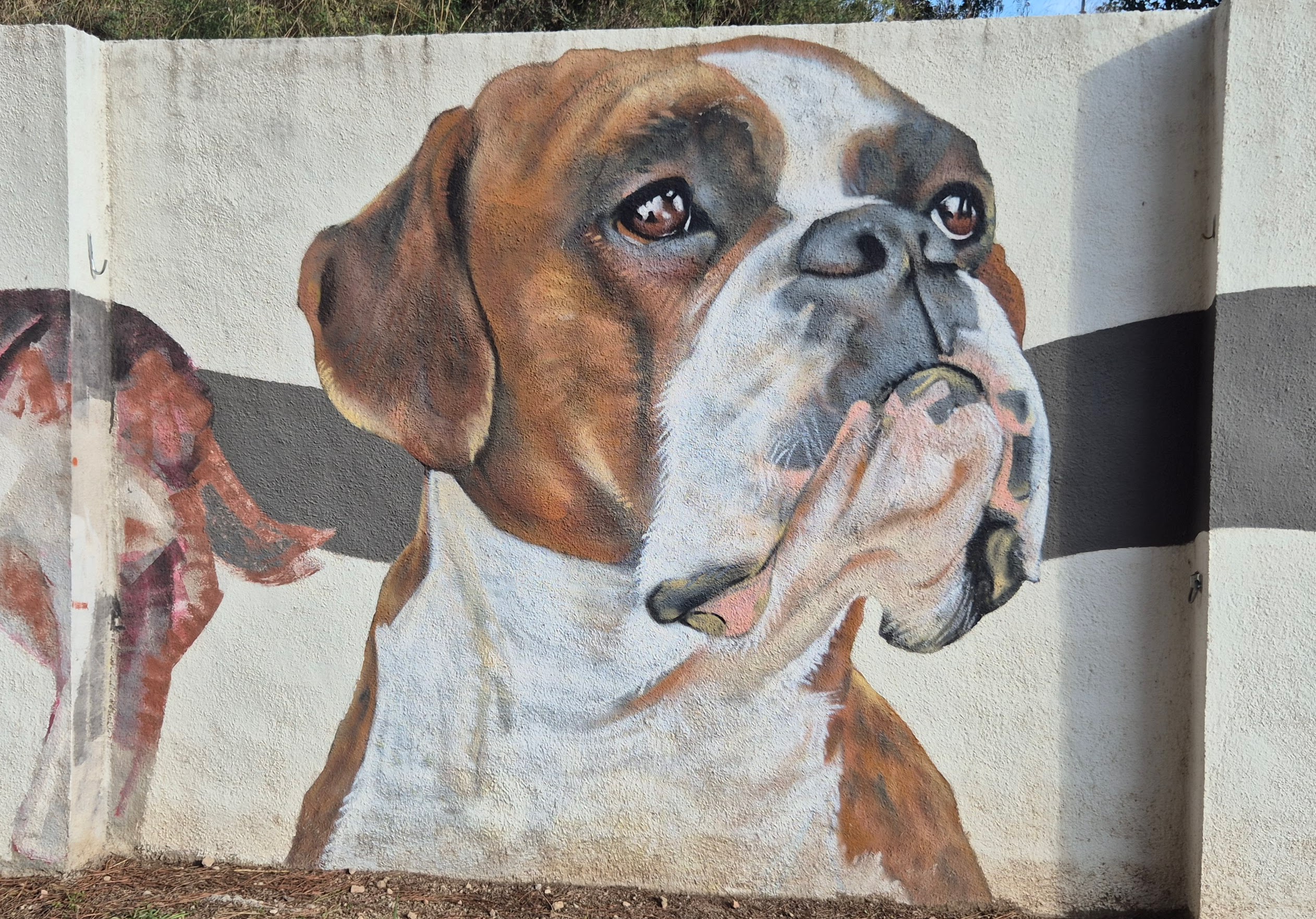 Pintura d'un gos