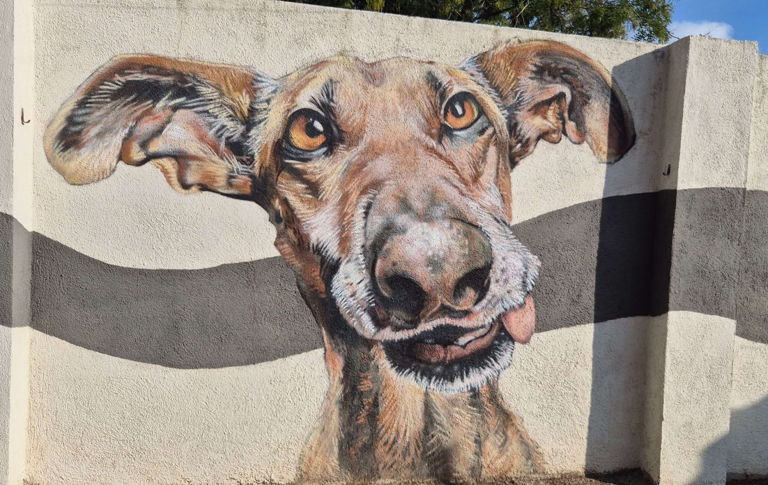 Pintura d'un gos