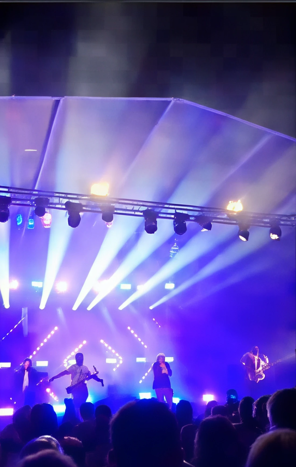 Concert de Buhos (Anna Lu Roig)&nbsp;